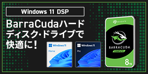 Windows 11 DSP BarraCudan[hfBXNEhCuŉKɁI