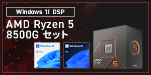 Windows 11 DSP AMD Ryzen 5 8500G Zbg