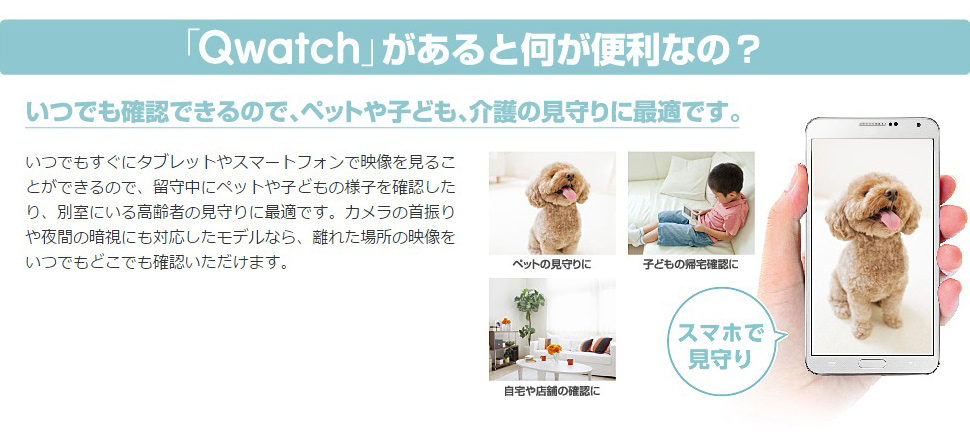 IOデータ ネットワークカメラ Qwatchシリーズ - NTT-X Store