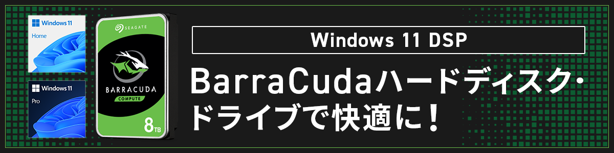 Windows 11 DSP BarraCudaハードディスク・ドライブで快適に！