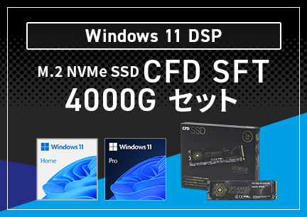 Windows 11 DSP CFD SFT4000G Zbg