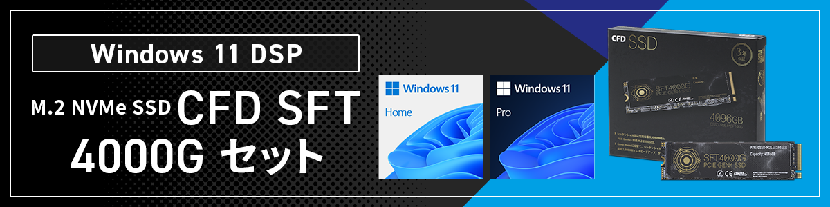 Windows 11 DSP CFD SFT4000G V[Y Zbg