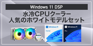 Windows 11 DSP CPUN[[ lC̃zCgfZbg