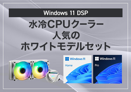 Windows 11 DSP CPUN[[ lC̃zCgfZbg