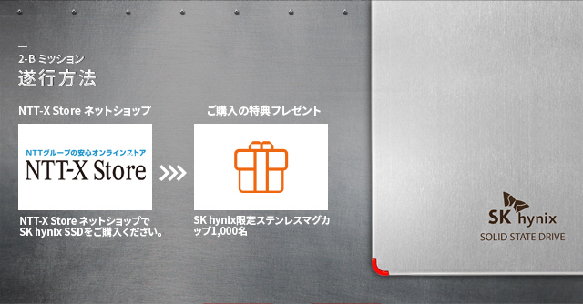 SK hynix SSD SL308 HFS250G32TND-N1A2A 