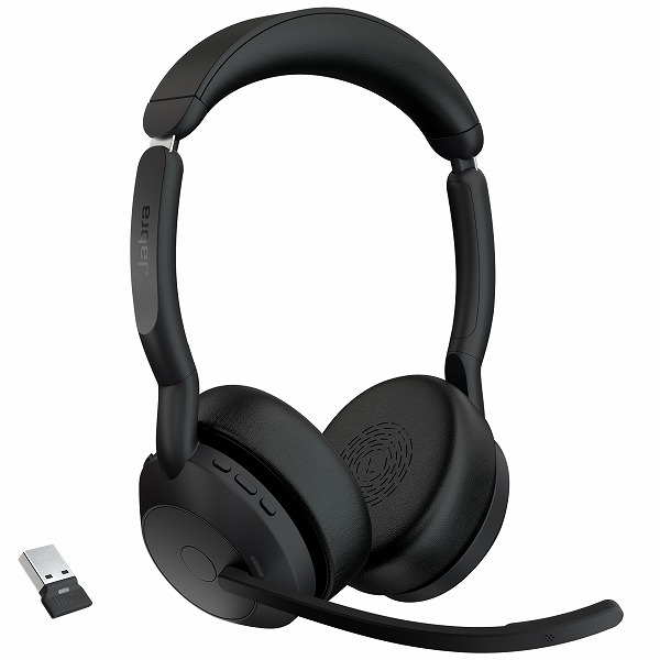 Evolve2 55 - Link380a UC �X�e���I