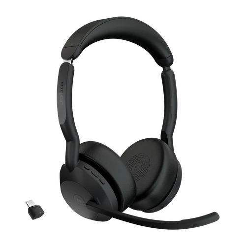 Evolve2 55 - Link380c MS �X�e���I