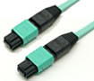 10Gb 光ファイバーケーブル (12芯 MPO 3m MultiMode)