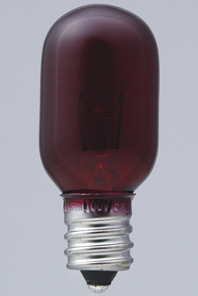 生地色ナツメ球 5W