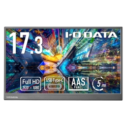 モバイルディスプレイ 17.3型/1920×1080/HDMI(ミニ)、USB Type-C(DisplayPort Alt Mode)/ブラック/スピーカー：なし/画面サイズが大きく、業務効率アップ！