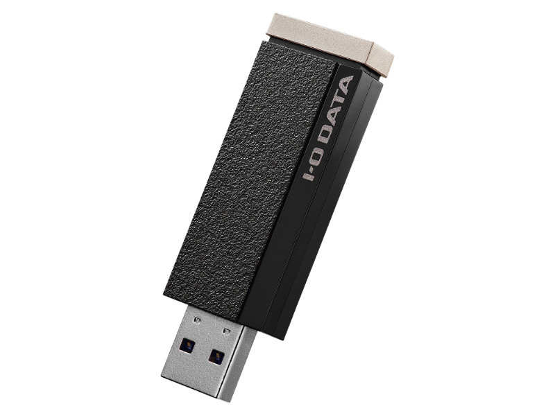 24時間連続録画/4K対応 録画用スティックSSD 1TB