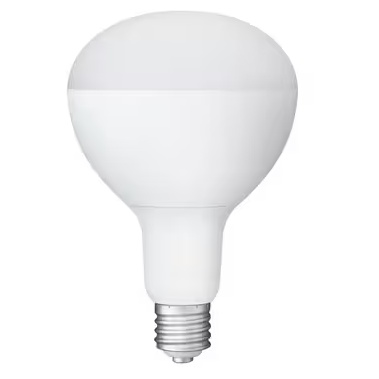LED投光器用交換電球 5500lm