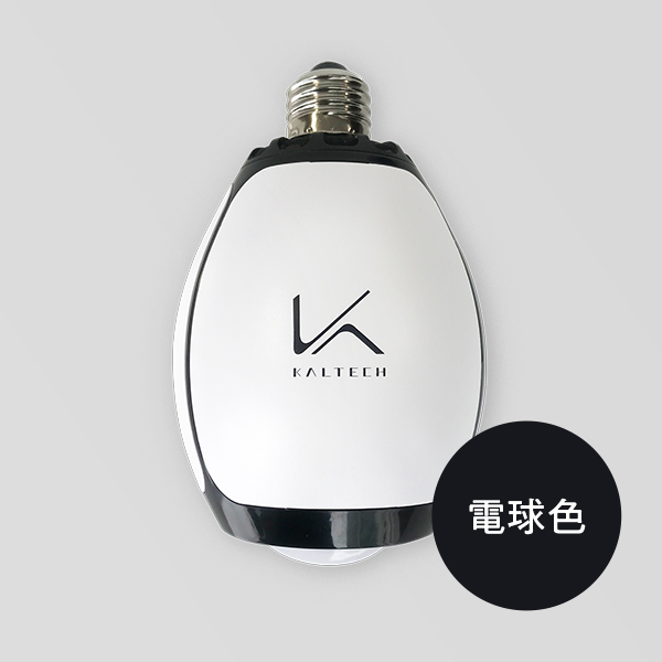 ターンド・ケイ 電球【電球色】