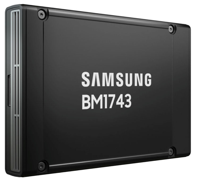 2.5型 U.2 BM1743 122.88TB NVMe RI HS SSD
