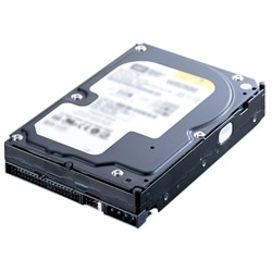 Terastation内蔵ハードディスク 250GB
