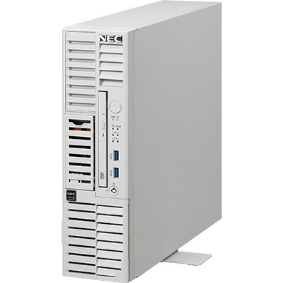 iStorage NS100Tm (Xeon 6333P/4.8TB/Windows Server IoT 2025 for Storage Workgroup Edition/タワー/3年保証)
