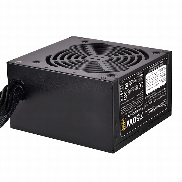 直出しケーブル電源 750W