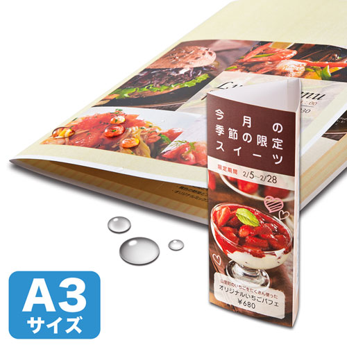 カラーレーザー用耐水紙（特厚・A3）