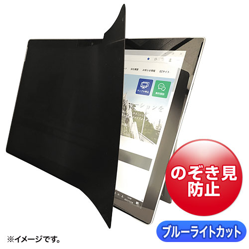 2WAY覗き見防止フィルム（iPad 10.9インチ対応）